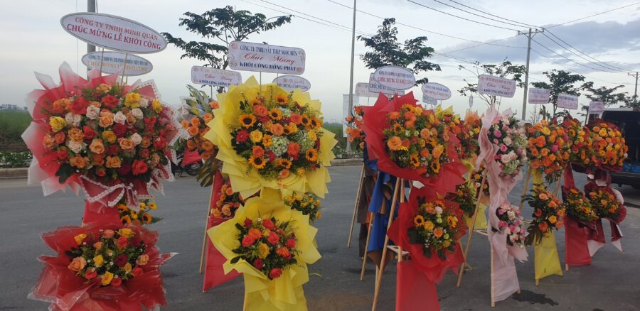 Kệ hoa khai trương